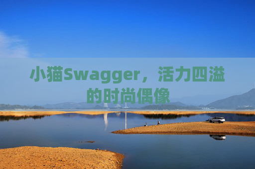 小猫Swagger，活力四溢的时尚偶像