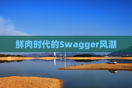 鲜肉时代的Swagger风潮