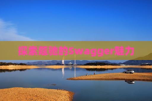 探索蔻驰的Swagger魅力