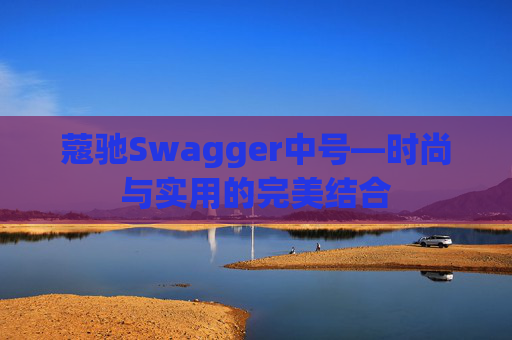 蔻驰Swagger中号—时尚与实用的完美结合