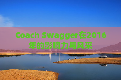 Coach Swagger在2016年的影响力与风采