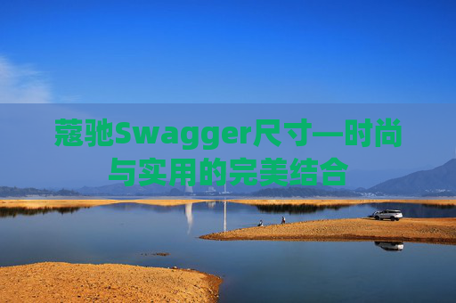 蔻驰Swagger尺寸—时尚与实用的完美结合