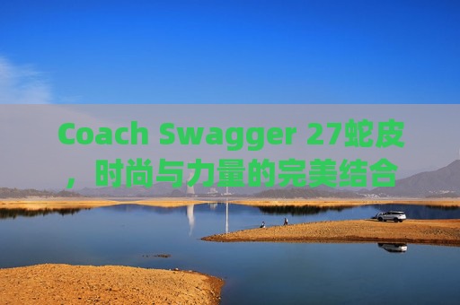 Coach Swagger 27蛇皮，时尚与力量的完美结合