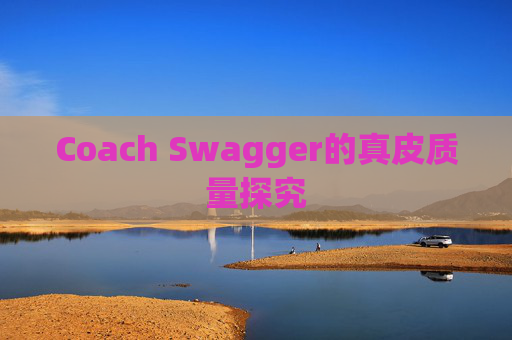 Coach Swagger的真皮质量探究