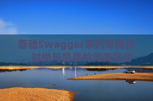 蔻驰Swagger系列专柜价，时尚与品质的完美融合