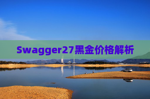 Swagger27黑金价格解析