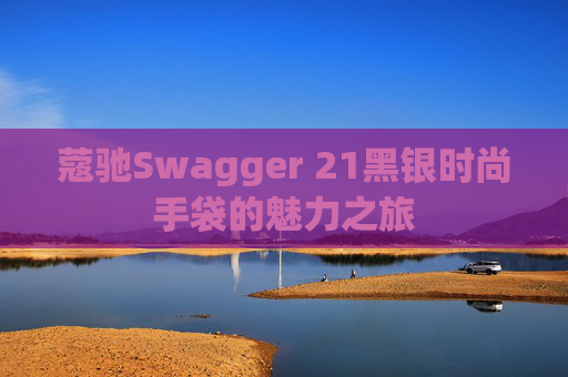 蔻驰Swagger 21黑银时尚手袋的魅力之旅
