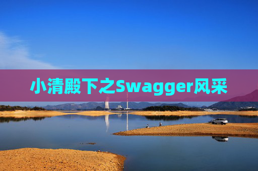 小清殿下之Swagger风采