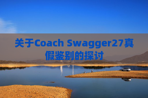 关于Coach Swagger27真假鉴别的探讨