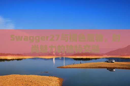 Swagger27与橘色蔻驰，时尚魅力的独特交融
