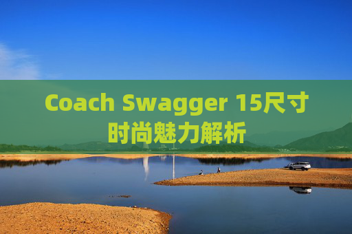 Coach Swagger 15尺寸时尚魅力解析