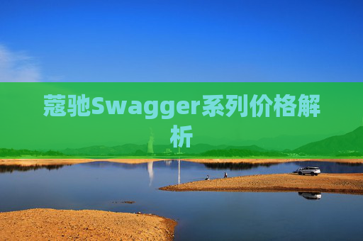 蔻驰Swagger系列价格解析